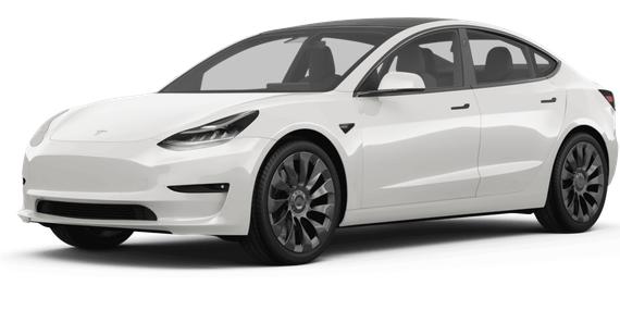 TESLA MODEL 3 2023 5YJ3E1EA7PF552239 image
